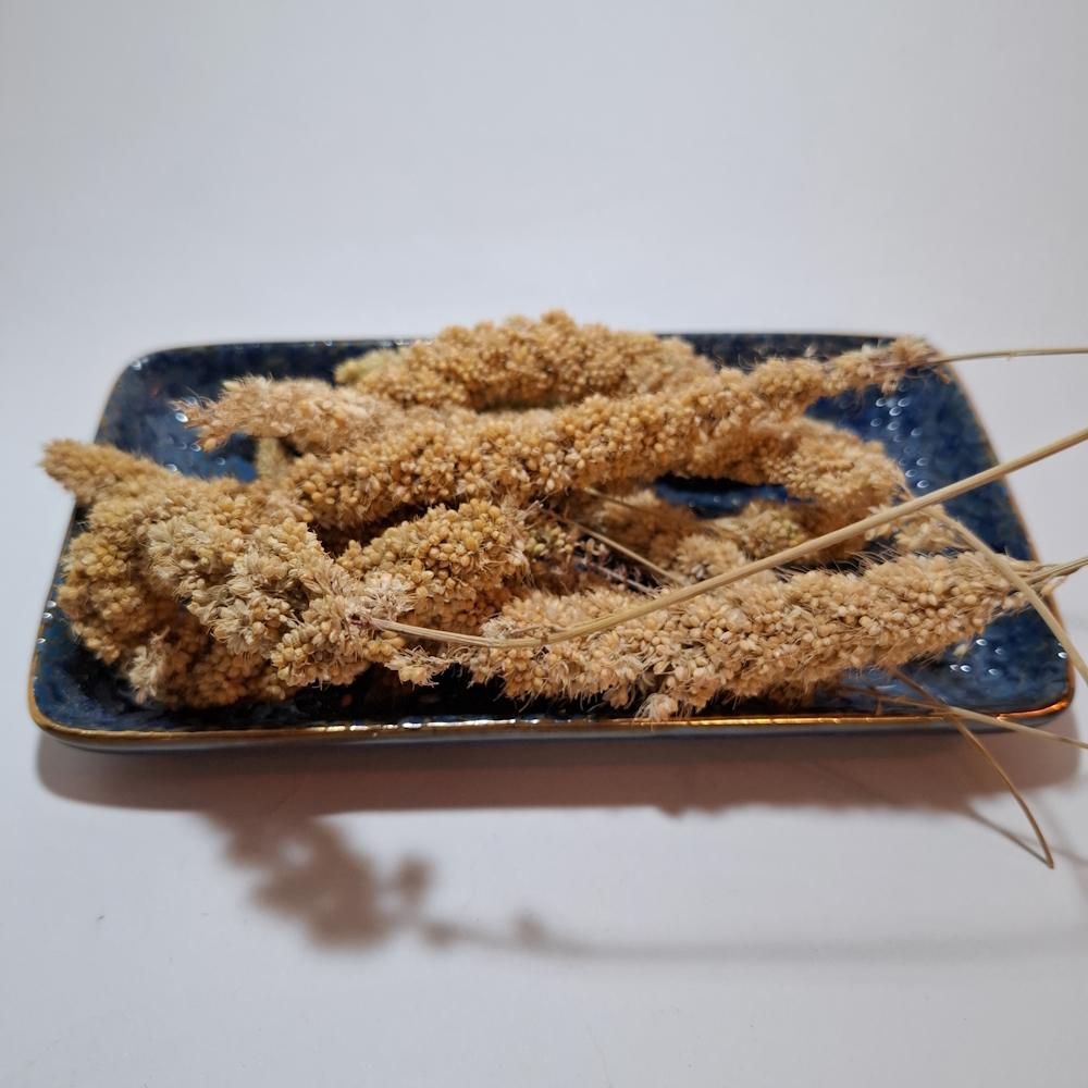 ارزن خوشه ای