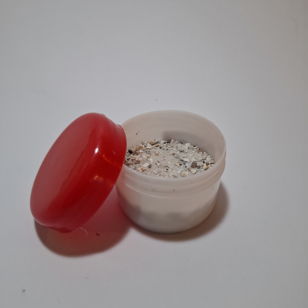 صدف خرد شده