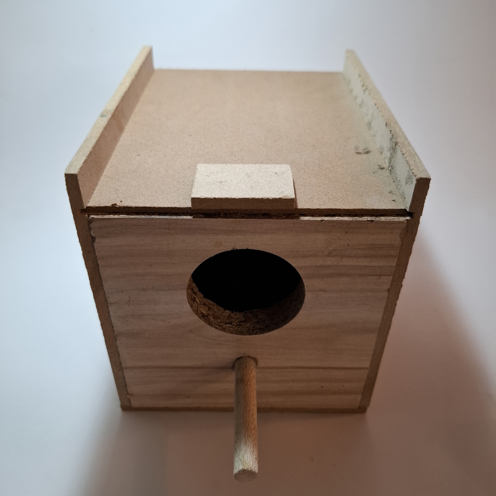 لونه چوبی طوطی برزیلی